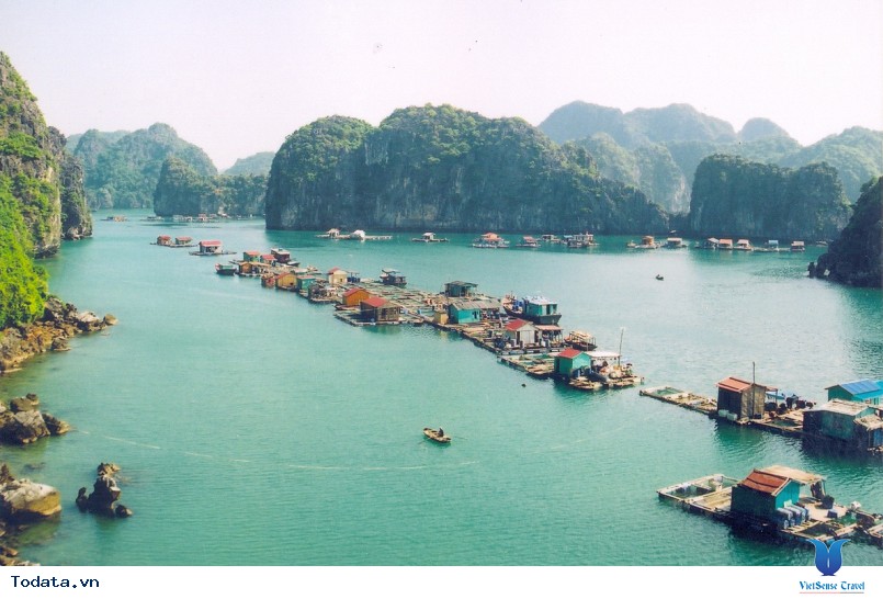 Vịnh lan hạ cát bà